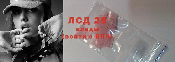 PSILOCYBIN Богородицк