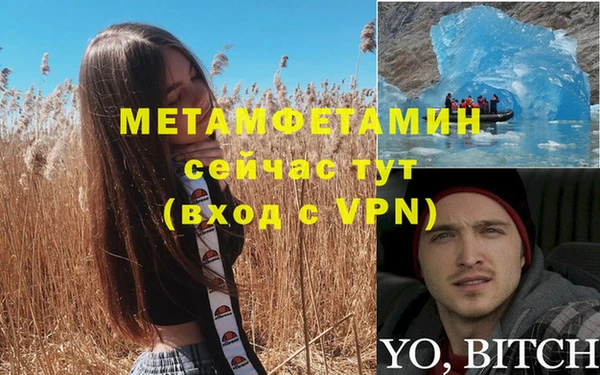 PSILOCYBIN Богородицк