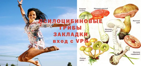 PSILOCYBIN Богородицк