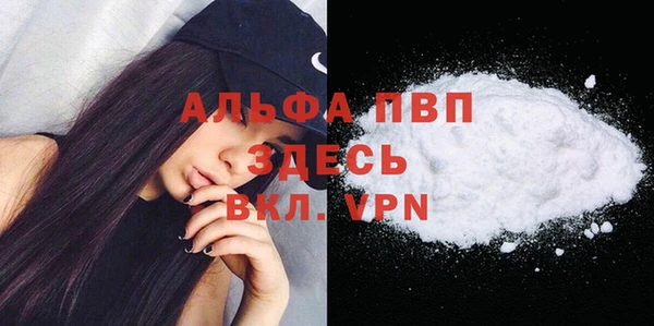 PSILOCYBIN Богородицк