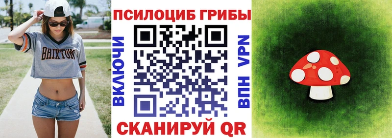 дарнет шоп  Пестово  MEGA ссылка  Галлюциногенные грибы Psilocybine cubensis 